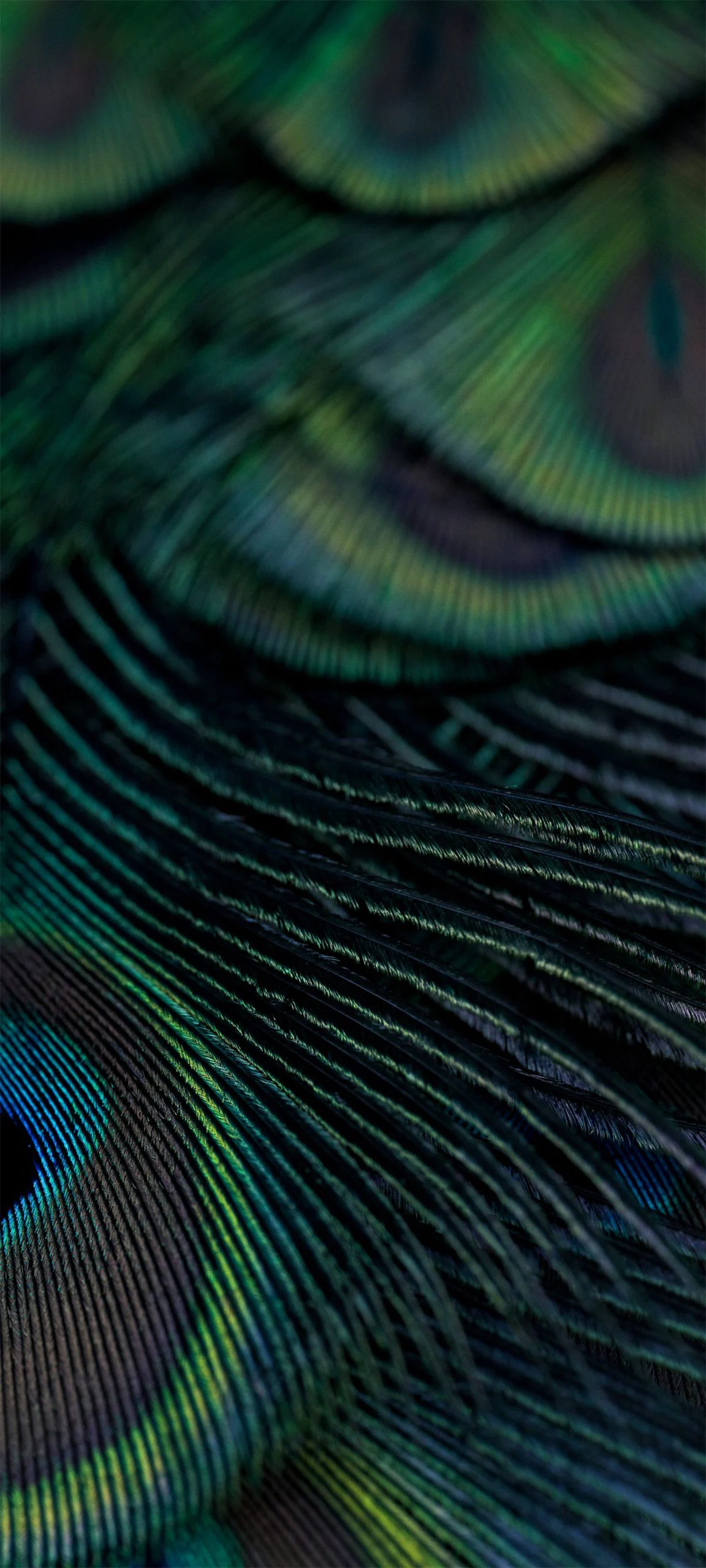 hyperos 2 0 wallpapereast 06 672642e0fe1bf099fd5627f1w1920ampq80 scaled