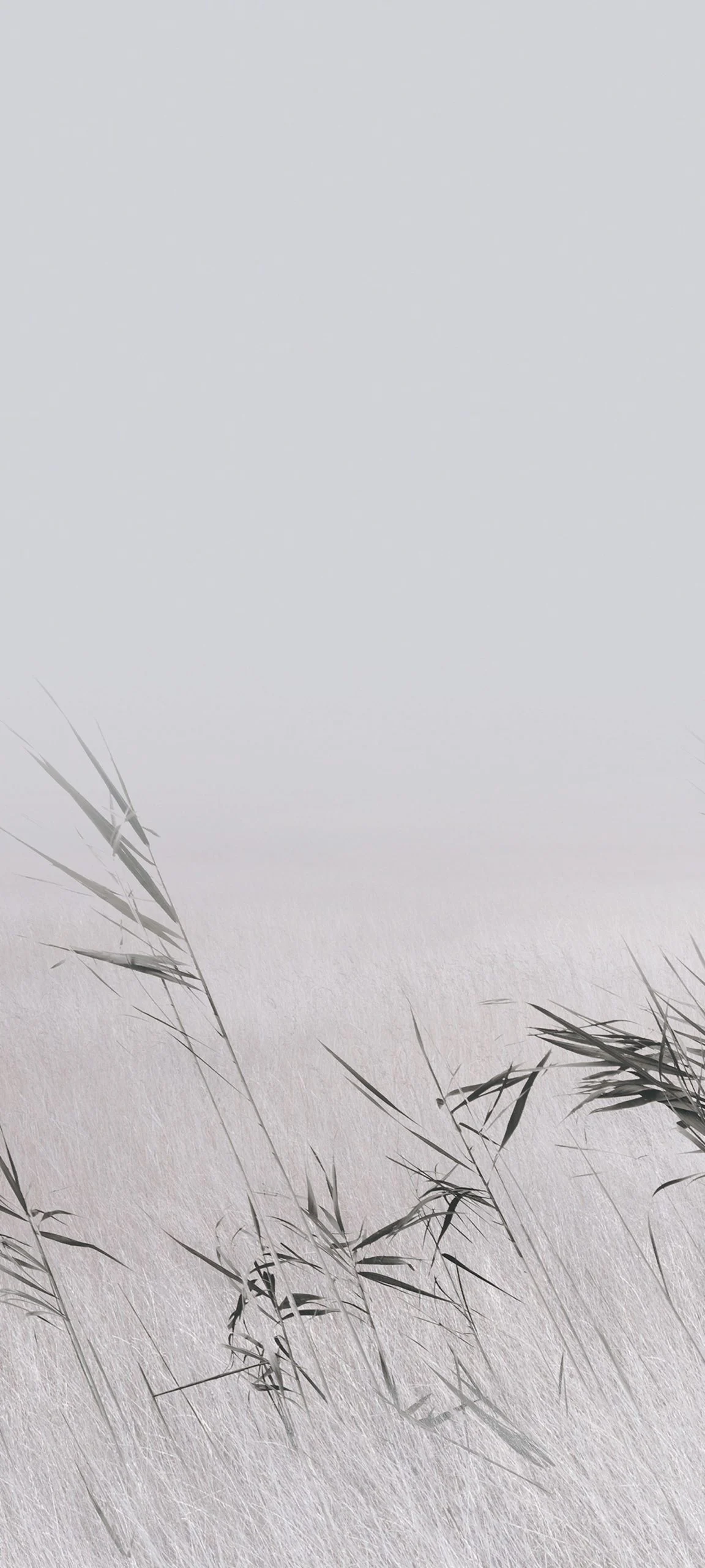 hyperos 2 0 wallpapereast 08 672642d9fe1bf099fd5627ccw1920ampq80 scaled