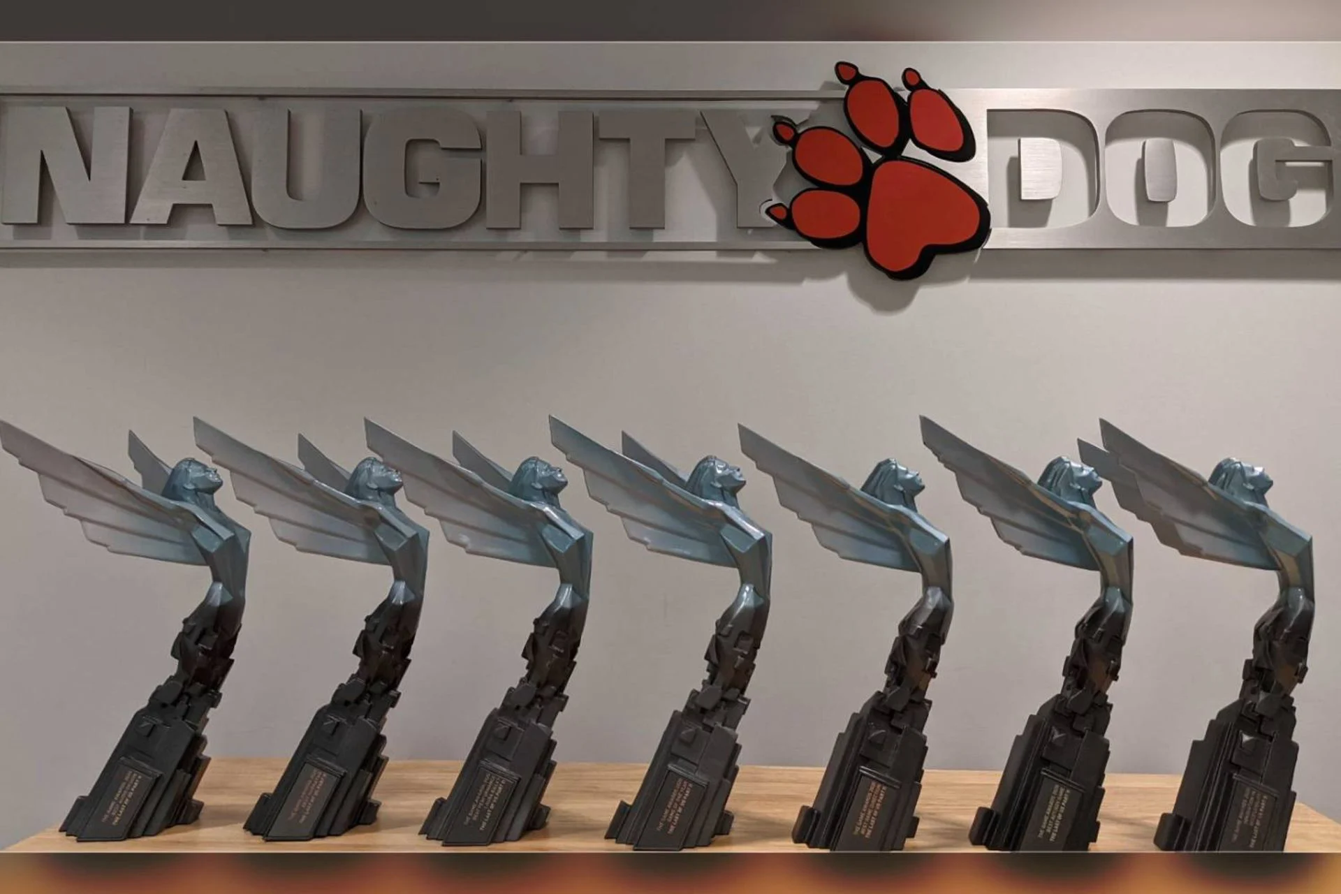 مدیرعامل ناتی‌داگ: سکوت‌ فعلی تقصیر خودمان نیست