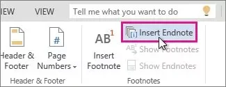 word endnote