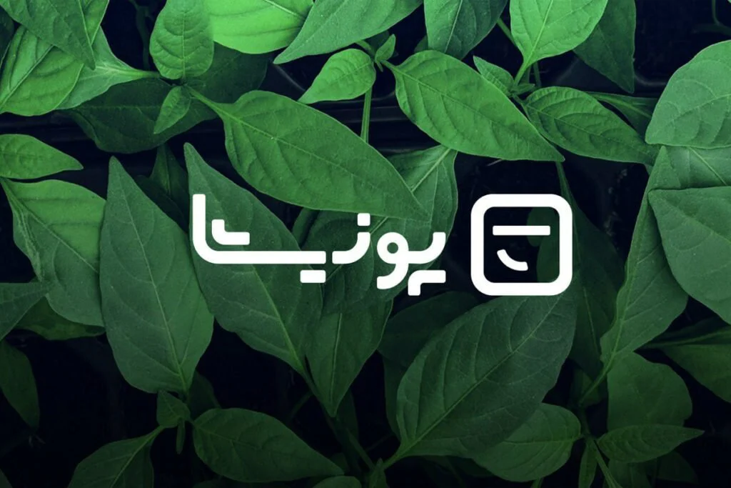 معرفی پونیشا