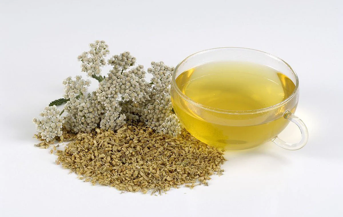 Yarrow tea