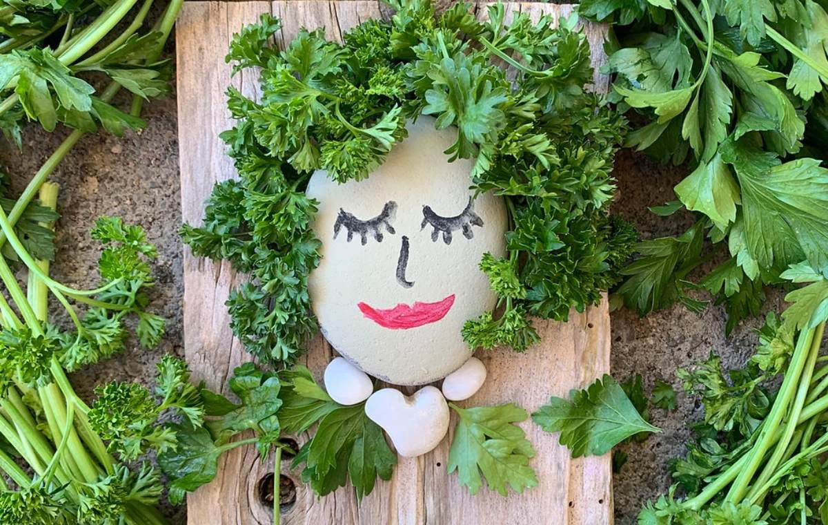 benefits of parsley for skin