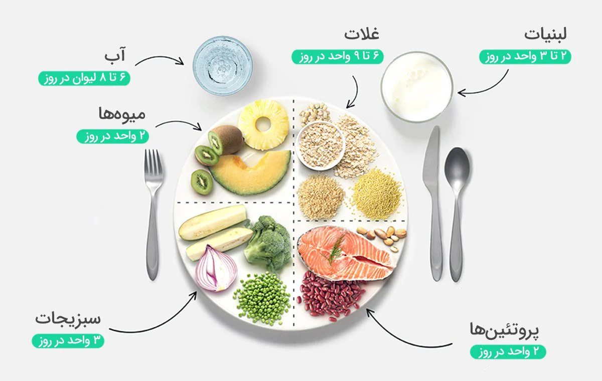 food needed by elderly