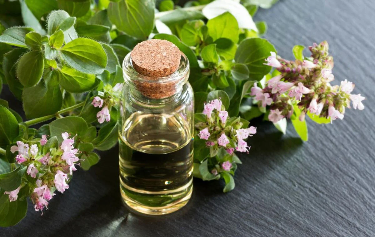 روغن مرزنجوش