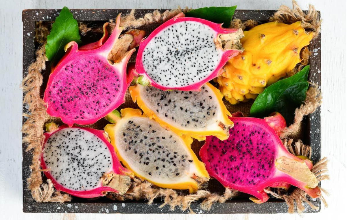 types of dragon fruit