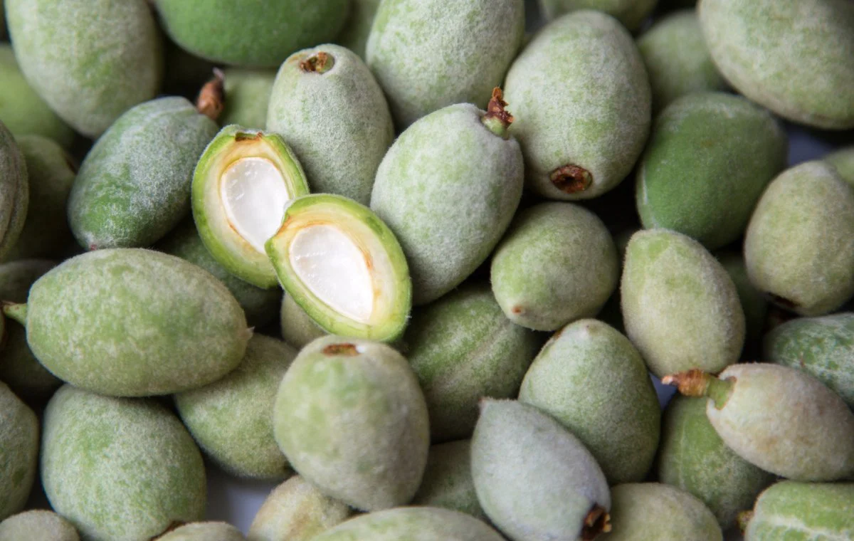 خواص چغاله بادام برای لاغری