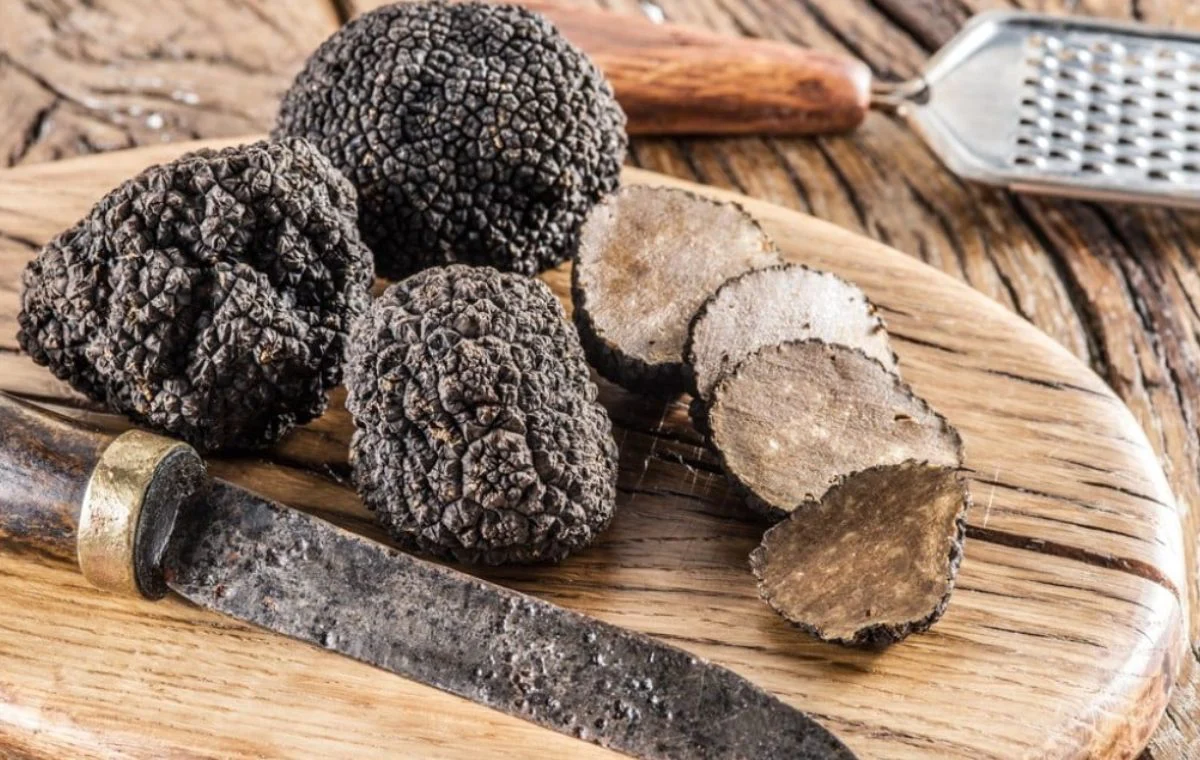 benefits of truffle mushrooms