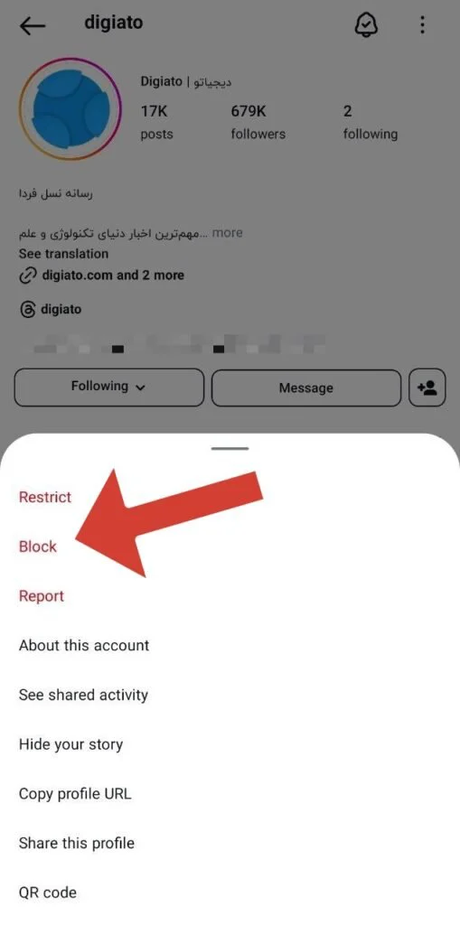 instagram block 509x1024 1