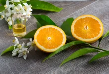 orange blossom benefits 1