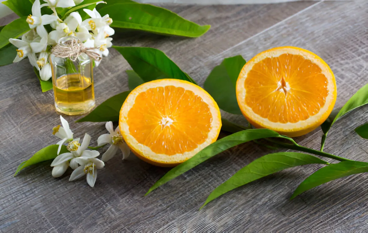 orange blossom benefits 1