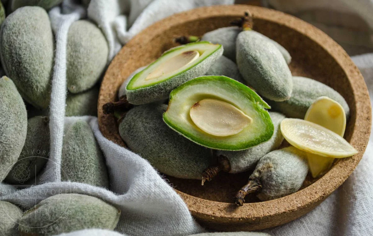 خواص چغاله بادام برای پوست