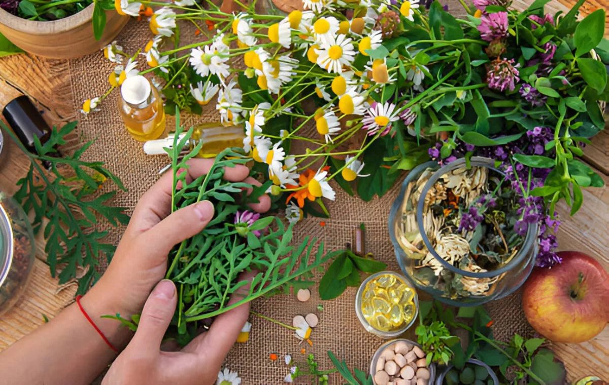 گیاهان دارویی برای آلرژی بهاری