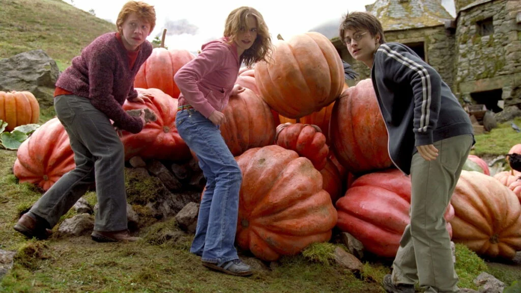 نقد مجموعه فیلم هری پاتر - ورود به دنیای خیالانگیز هاگوارتز