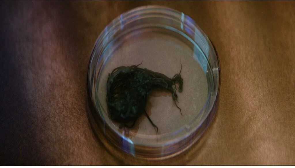 نقد فیلم Ash | رستگاری در سیاره‌ای ناشناخته