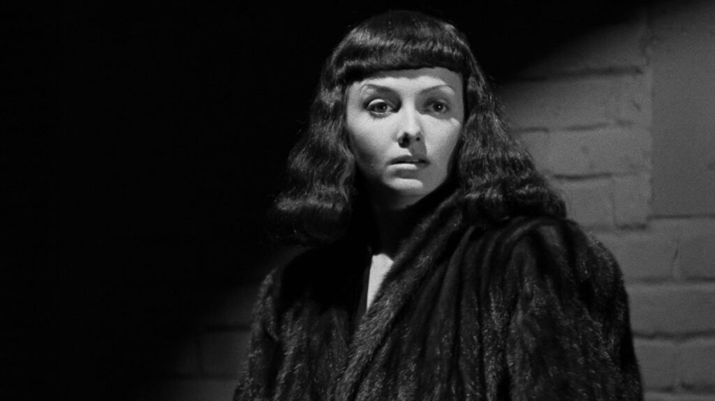 B8273A58 30D8 42E7 BF8A B4DC4374FEFA 1024x575 1