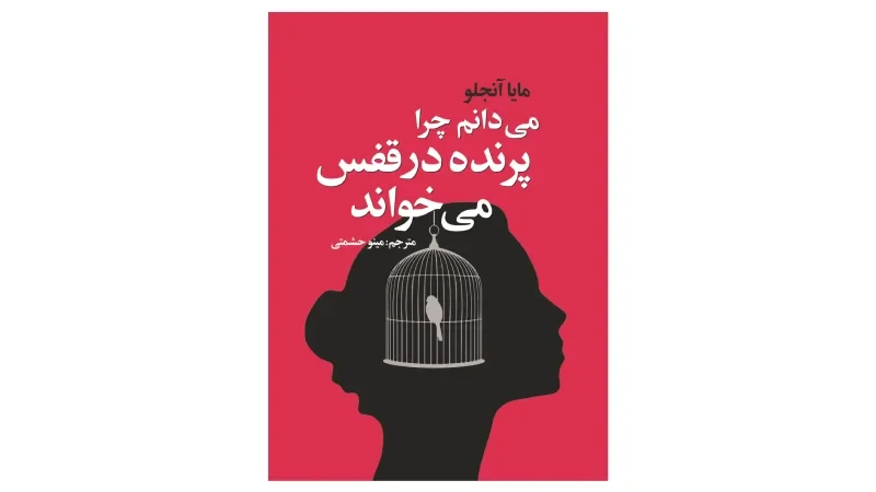 زندگینامه افراد موفق