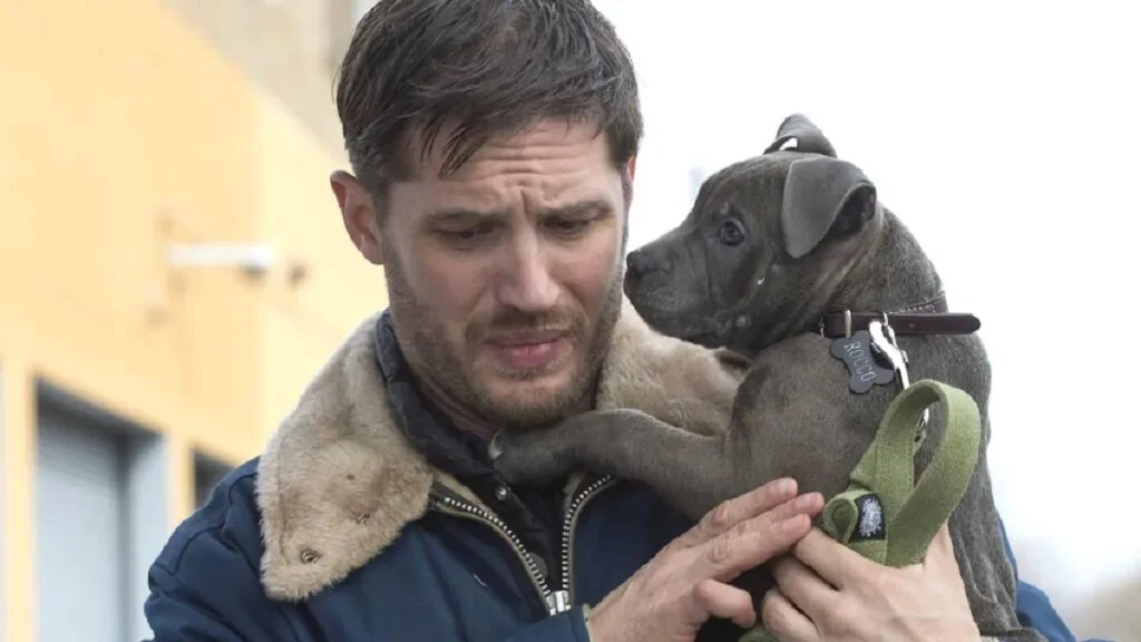 ۵ فیلم کمتر شناخته شده تام هاردی که باید ببینید