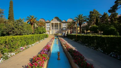 mostafameraji 6856dd527f63e8eb50a65234w1920ampq80